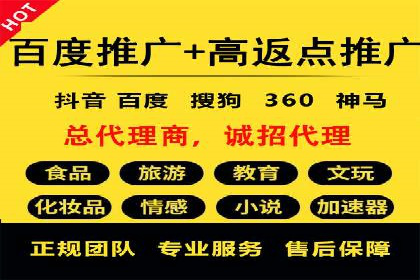 SEM广告投放的技巧与策略——成功案例分享